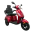 Fast One